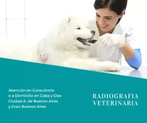 Clínicas Veterinarias En Capilla Del Monte