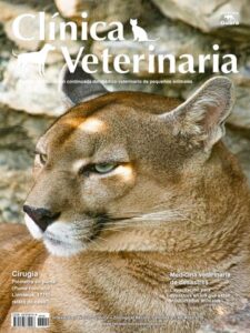 Clínicas Veterinarias En Carlos Pellegrini