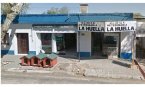 Clínicas Veterinarias En Carlos Tejedor