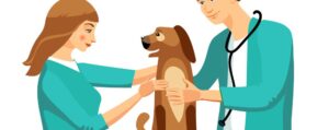 Clínicas Veterinarias En Caseros