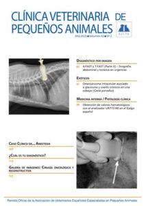 Clínicas Veterinarias En Cevil Redondo