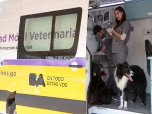 Clínicas Veterinarias En Coronel Pringles