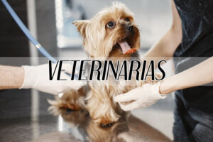 Clínicas Veterinarias En Correa