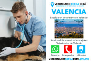 Clínicas Veterinarias En Cruz Alta