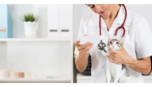 Clínicas Veterinarias En Daireaux