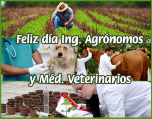 Clínicas Veterinarias En Dudignac