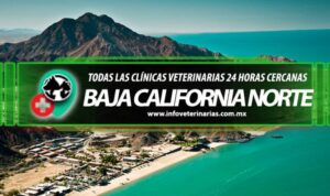 Clínicas Veterinarias En Ensenada