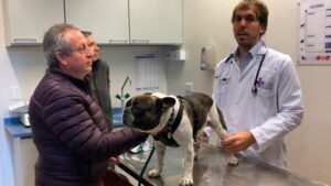 Clínicas Veterinarias En Florencia