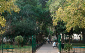 Clínicas Veterinarias En Floresta