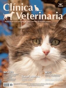 Clínicas Veterinarias En Juan N Fernandez