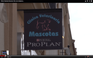 Clínicas Veterinarias En La Carlota