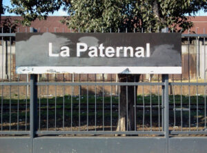 Clínicas Veterinarias En La Paternal