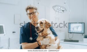 Clínicas Veterinarias En La Rubia