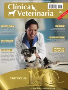 Clínicas Veterinarias En Las Armas