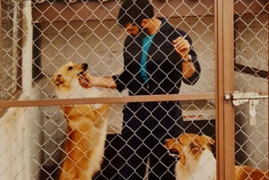 Clínicas Veterinarias En Las Lomitas
