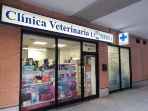 Clínicas Veterinarias En Las Rosas