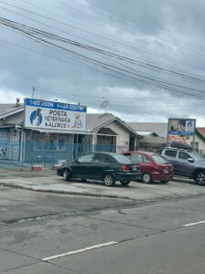 Clínicas Veterinarias En Las Varas