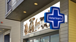 Clínicas Veterinarias En Las Varillas