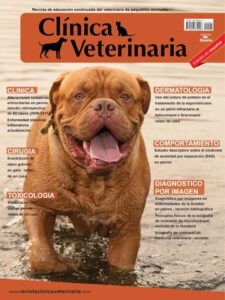 Clínicas Veterinarias En Las Vertientes