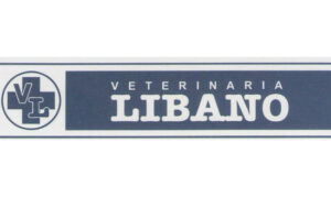 Clínicas Veterinarias En Libano