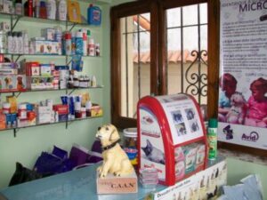Clínicas Veterinarias En Loberia
