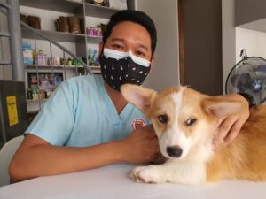 Clínicas Veterinarias En Los Toldos