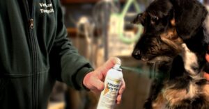 Clínicas Veterinarias En Machagai