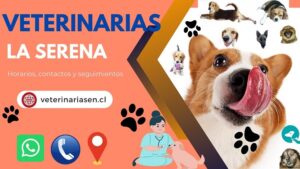 Clínicas Veterinarias En Margarita