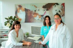 Clínicas Veterinarias En Morea