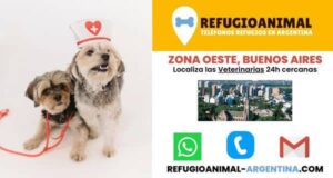 Clínicas Veterinarias En Moron