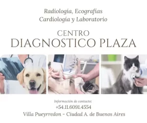 Clínicas Veterinarias En Nordelta