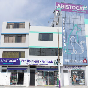 Clínicas Veterinarias En Olivos