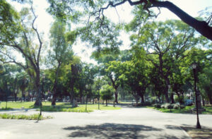Clínicas Veterinarias En Parque Patricios