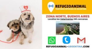 Clínicas Veterinarias En Pergamino