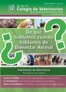 Clínicas Veterinarias En Pigue