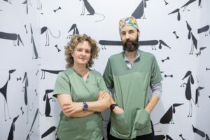 Clínicas Veterinarias En Rafael Castillo