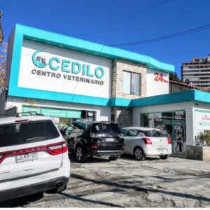 Clínicas Veterinarias En Recoleta