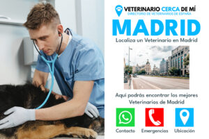 Clínicas Veterinarias En Retiro