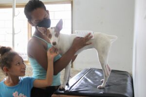 Clínicas Veterinarias En Rio Ceballos