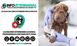 Clínicas Veterinarias En Rio Primero