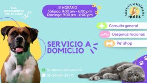 Clínicas Veterinarias En Rosales