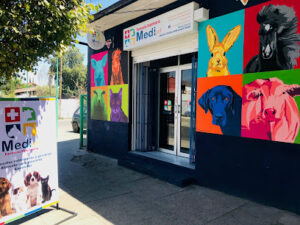 Clínicas Veterinarias En Rufino