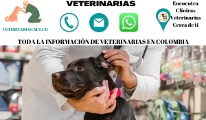 Clínicas Veterinarias En San Cayetano