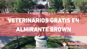Clínicas Veterinarias En San Josealte Brown