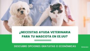 Clínicas Veterinarias En San Justo