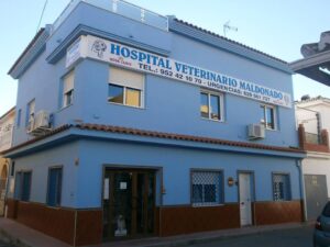 Clínicas Veterinarias En Susana