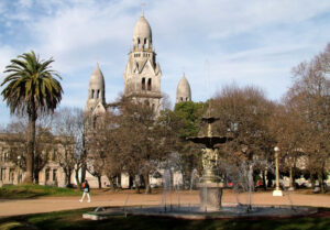 Clínicas Veterinarias En Tandil
