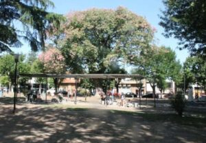 Clínicas Veterinarias En Tapiales