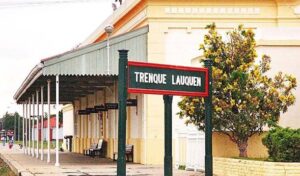 Clínicas Veterinarias En Trenque Lauquen