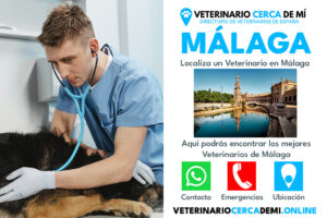 Clínicas Veterinarias En Union